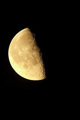 BUITEN BEELD Foto: 47889