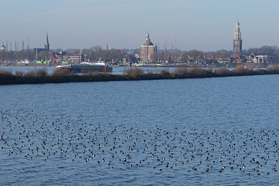 BUITEN BEELD Foto: 47953