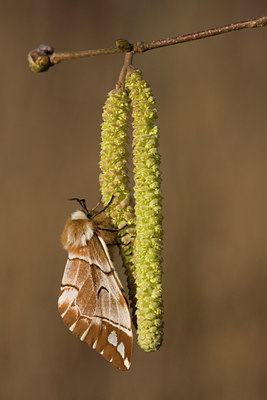 BUITEN BEELD Foto: 47954