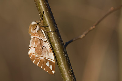 BUITEN BEELD Foto: 47955