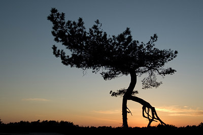 BUITEN BEELD Foto: 47967