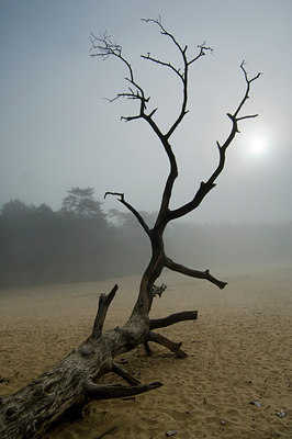 BUITEN BEELD Foto: 47969