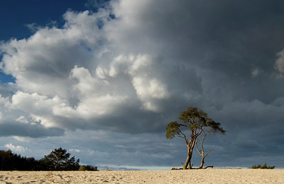BUITEN BEELD Foto: 47976