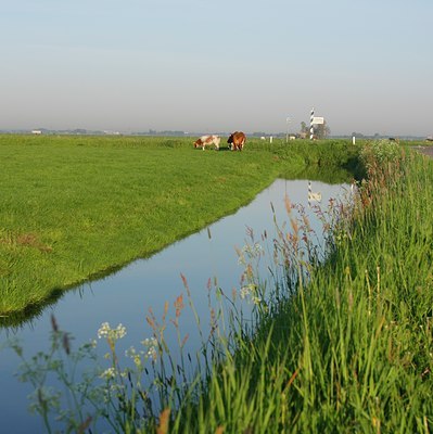 BUITEN BEELD Foto: 47980
