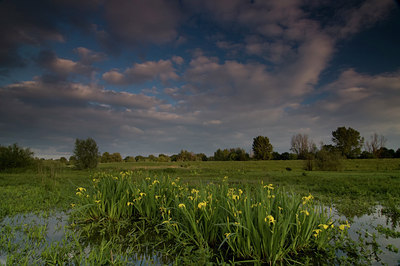 BUITEN BEELD Foto: 47991