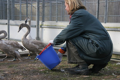 BUITEN BEELD Foto: 48025