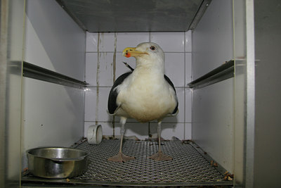 BUITEN BEELD Foto: 48033