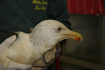 BUITEN BEELD Foto: 48035