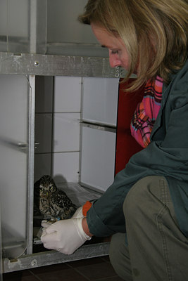 BUITEN BEELD Foto: 48036