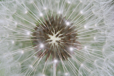 BUITEN BEELD Foto: 48073