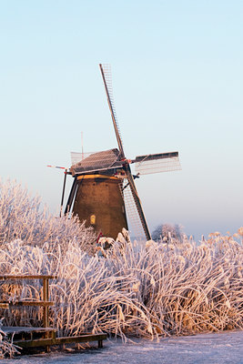 BUITEN BEELD Foto: 48077