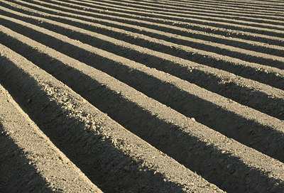 BUITEN BEELD Foto: 48081