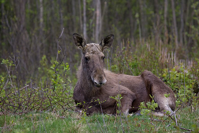 BUITEN BEELD Foto: 48096