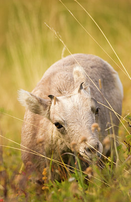 BUITEN BEELD Foto: 48147