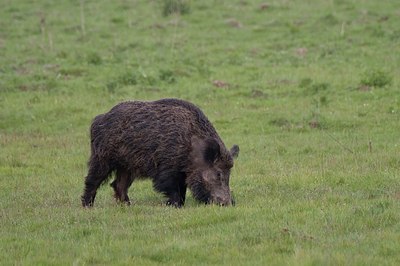 BUITEN BEELD Foto: 48202
