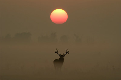 BUITEN BEELD Foto: 48222