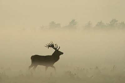 BUITEN BEELD Foto: 48223