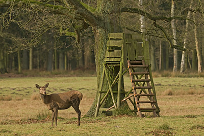 BUITEN BEELD Foto: 48229