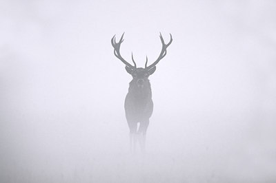BUITEN BEELD Foto: 48253