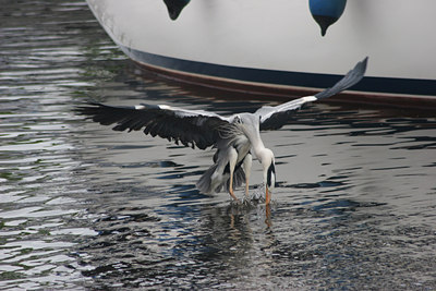 BUITEN BEELD Foto: 48338