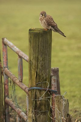 BUITEN BEELD Foto: 48371