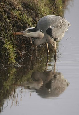 BUITEN BEELD Foto: 48373