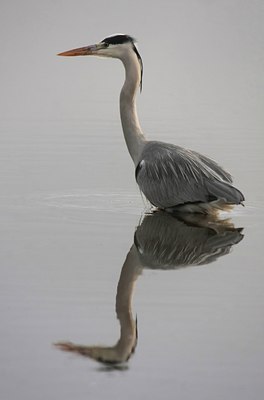 BUITEN BEELD Foto: 48374