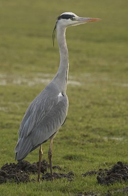 BUITEN BEELD Foto: 48376