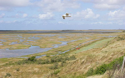 BUITEN BEELD Foto: 48406