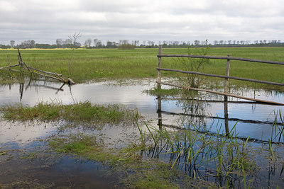 BUITEN BEELD Foto: 48436