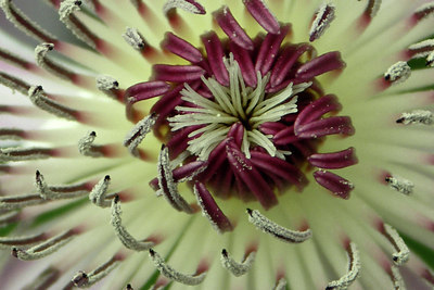 BUITEN BEELD Foto: 48443