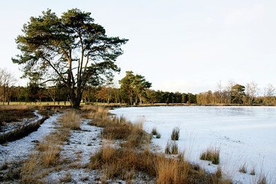 BUITEN BEELD Foto: 48508