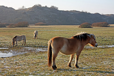 BUITEN BEELD Foto: 48524