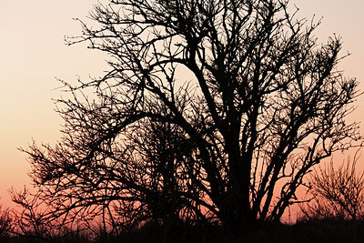 BUITEN BEELD Foto: 48526