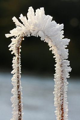 BUITEN BEELD Foto: 48531