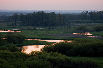 BUITEN BEELD Foto: 48556