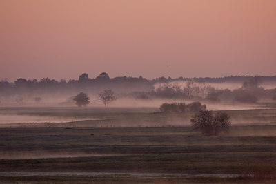 BUITEN BEELD Foto: 48559