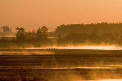 BUITEN BEELD Foto: 48561