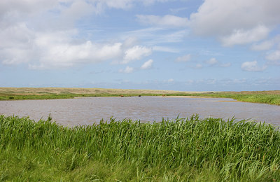 BUITEN BEELD Foto: 48592