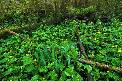 BUITEN BEELD Foto: 48606