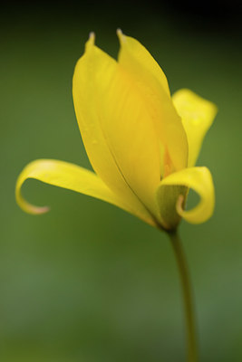 BUITEN BEELD Foto: 48621