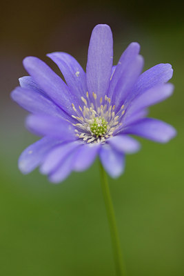 BUITEN BEELD Foto: 48625
