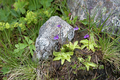 BUITEN BEELD Foto: 48637