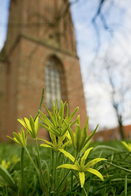 BUITEN BEELD Foto: 48692