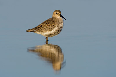 BUITEN BEELD Foto: 48769