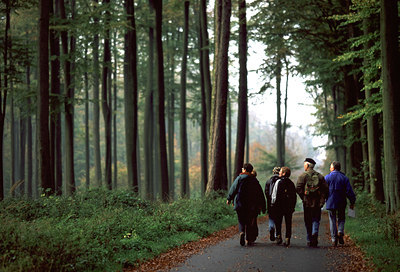 BUITEN BEELD Foto: 48852
