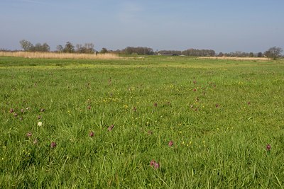 BUITEN BEELD Foto: 48856