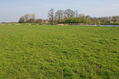 BUITEN BEELD Foto: 48857