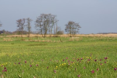 BUITEN BEELD Foto: 48859