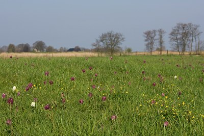 BUITEN BEELD Foto: 48862